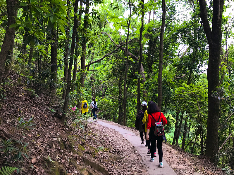 
                            我公司健康达人协会开展登山活动